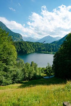 Freibergsee in summer with the ski jump by Leo Schindzielorz