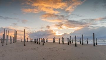 Post on the beach of Petten Holland