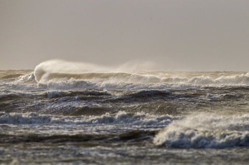 Storm met zon op de branding in avondlicht