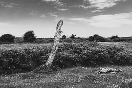 Slufter, Texel by Jakob Huizen van