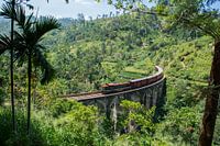 Zug durch eine Landschaft in Sri Lanka