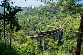 Trein door een landschap in Sri Lanka van Lifelicious