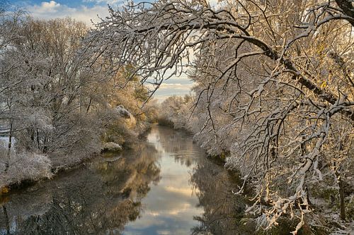 Winterwonderland in de Elzas