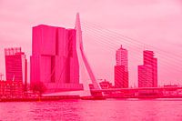 Rotterdam - Erasmusbrug en omgeving - in rode tinten