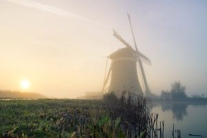Molen in de mist