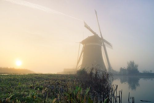 Molen in de mist
