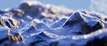 Berglandschap in de sneeuw - close-up van Poster Art Shop