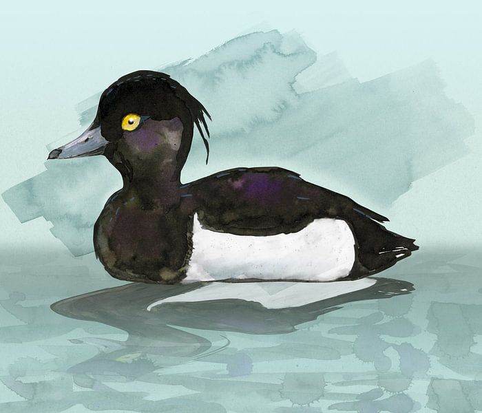 Kuifeend aquarel van Bianca Wisseloo
