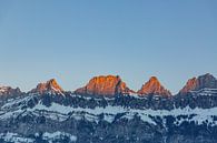 Churfirsten vanaf Flumserberge bij dageraad Alpengloed bij zonsopgang in januari van Martin Steiner thumbnail