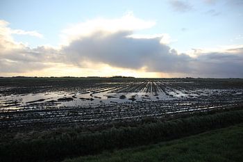 Texel Landschap 054