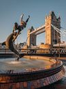 Meisje met De Dolfijn en Tower Bridge, Londen. van Lorena Cirstea thumbnail
