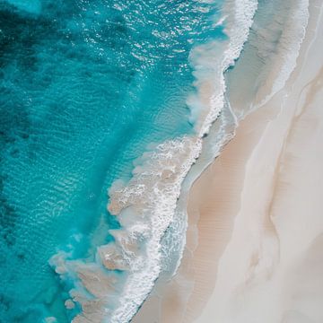Vlucht over het strand van Koffie Zwart
