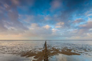 côte des Wadden sur Ton Drijfhamer