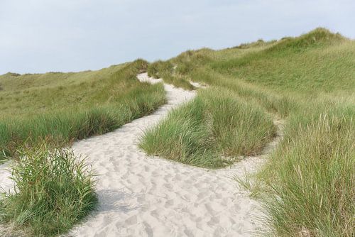 Chemin par-dessus les dunes jusqu'à la mer