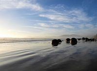 Overview of the Moeraki Boulders, New Zealand