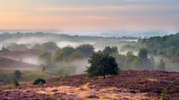 Posbank at sunrise