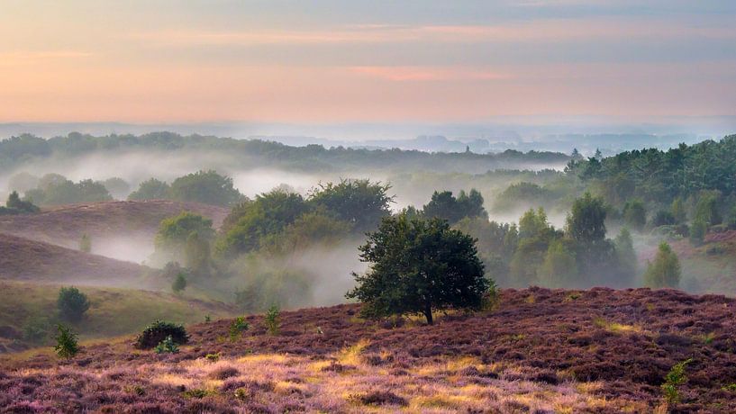 Posbank at sunrise by Gert van Eck