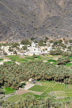 Wadi in Oman van Jeroen Kleiberg