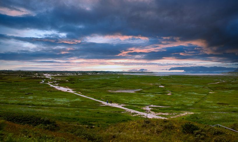De slufter, Texel von Nynke Altenburg