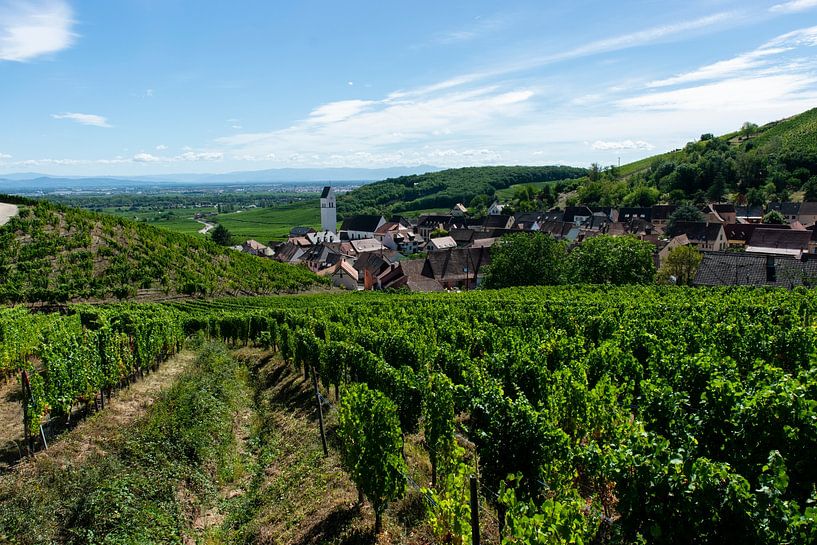 Vignobles en Alsace par Ronn Perdok