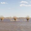 Knotwilgen bij hoogwater van Ronald Kromkamp