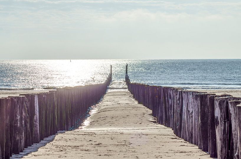 weg naar de zee van Natasja Claessens