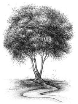 Winding path leading to the tree