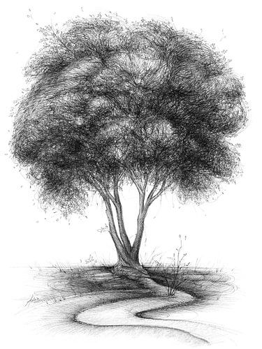 Pfad zum Baum mit dichter Krone von Adriana Müller