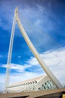 Museo de las Ciencias & Assut de l'Or Brücke Foto - Ikonische Valencia Wanddekoration