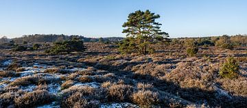 Winter landscape Geopark de Hondsrug by Henk Osinga