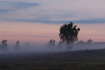 Zonsopkomst op de heide.5 van Daniëlle Eibrink Jansen