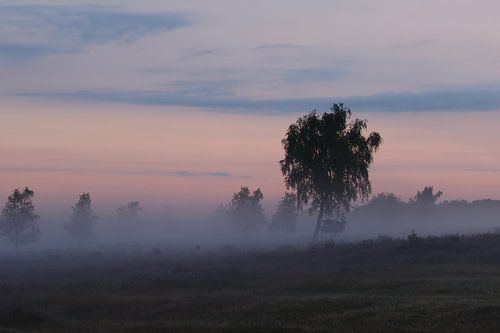 Zonsopkomst op de heide.5