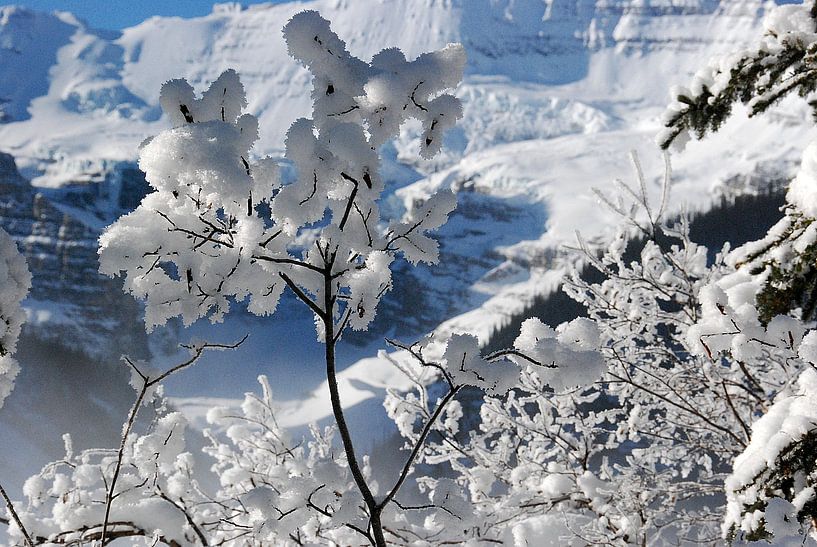 LAKE LOUISE AND MORAINE LAKE von Roelof Touw