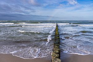 Buhnen an der Küste der Ostsee bei Graal Müritz