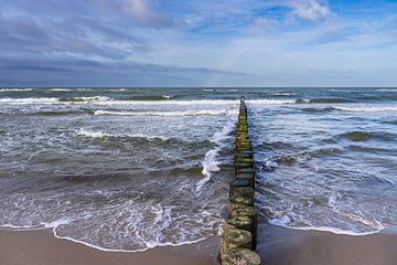 Groynes on the coast of the Baltic Sea near Graal Müritz