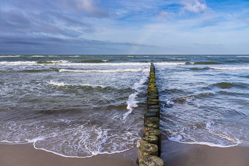 Buhnen an der Küste der Ostsee bei Graal Müritz von Rico Ködder