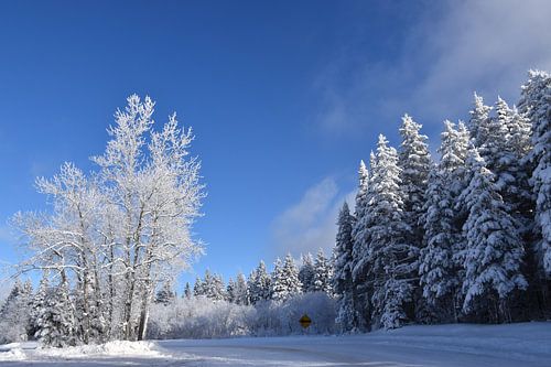 De Noordelijke Rijweg in de winter