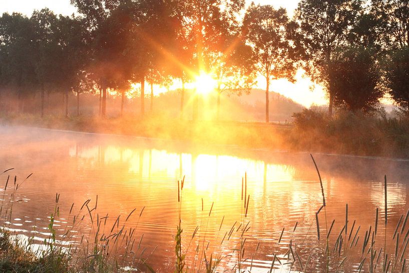 Hemels licht by Ab Donker