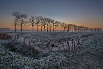 Large paysage de polders sur Moetwil en van Dijk - Fotografie