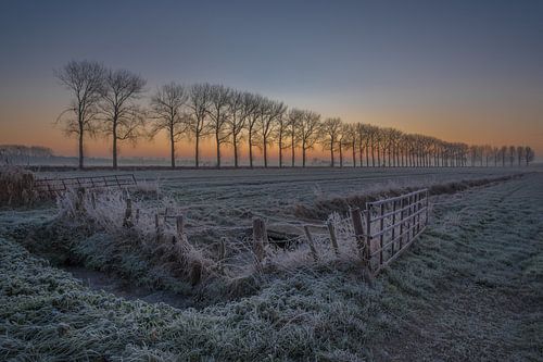 Weids polderlandschap
