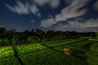Rizière Bali la nuit