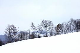 Winter in Upper Lusatia