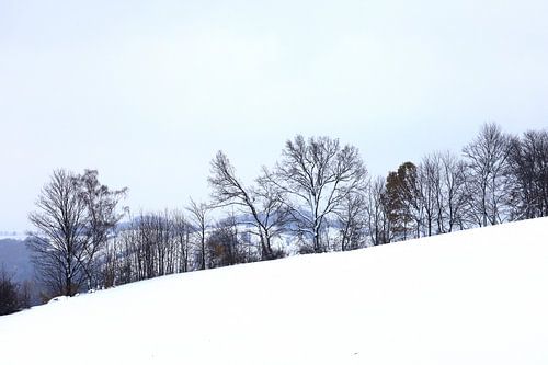 Winter in Upper Lusatia