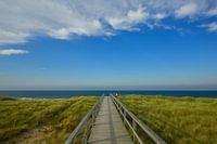 Een pad in de duinen met uitzicht op de blauwe zee