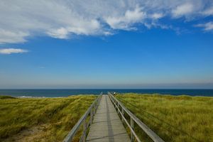 Een pad in de duinen met uitzicht op de blauwe zee van Oliver Lahrem