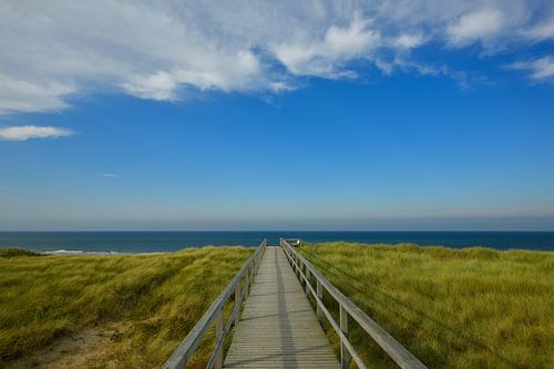 Een pad in de duinen met uitzicht op de blauwe zee