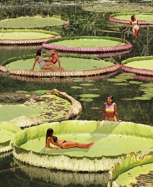 Vallée du Lys par Irie Wata