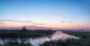 Panorama voor zonsopkomst De Onlanden in Pastels