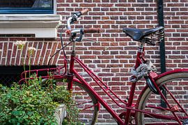 Ikone der Niederlande: Ein rotes Fahrrad in einer malerischen Straße in Den Haag von Denny van der Vaart