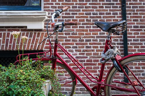 Iconic Dutch Charm: A Red Bicycle in a Picturesque Alley in The Hague
